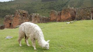 Visit Pumamarca on Amy Pattee Colvin's Peru Spiritual Adventure