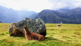 Beautiful Andean landscape as seen on Amy Pattee Colvin's Spiritual Tour to Peru.