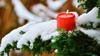 Winter is a time for stillness and reflection