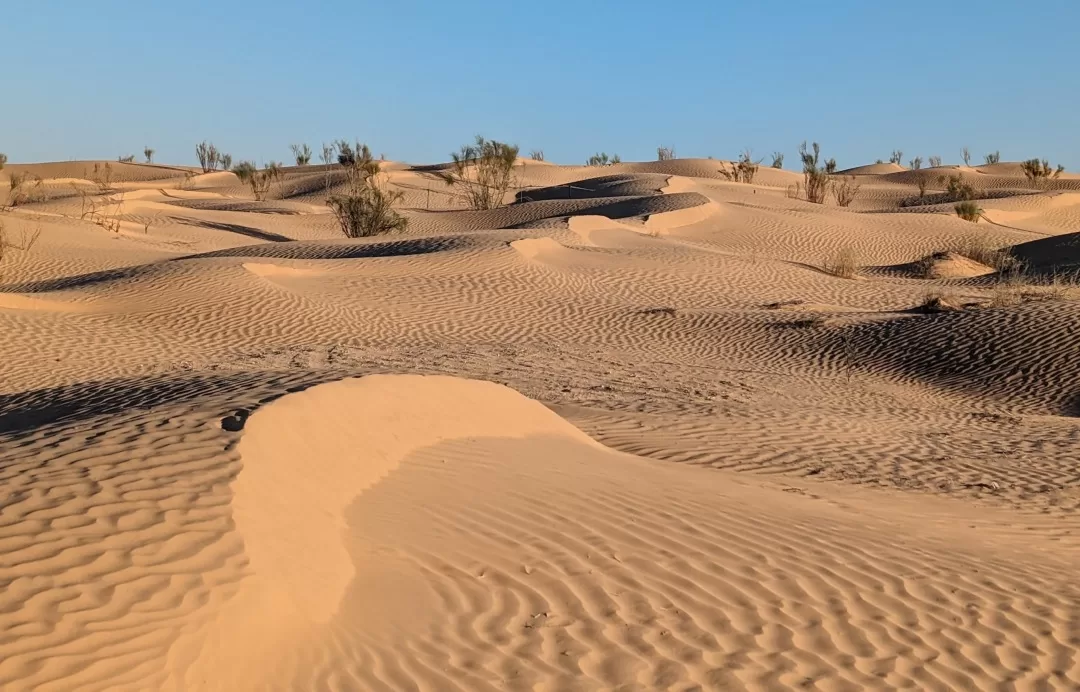 Being in the desert cultivates patience.