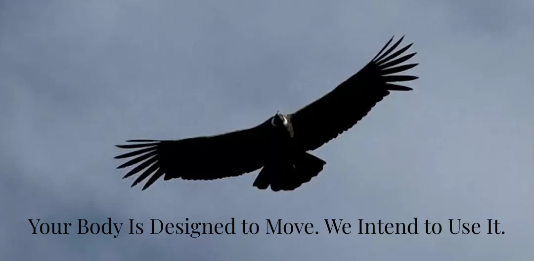 Soar like this condor while resetting your nervous system. 