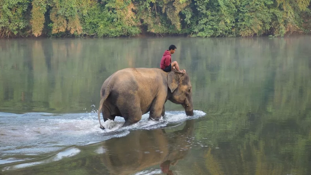 Finding stillness in the slow movement of glacial ice.
