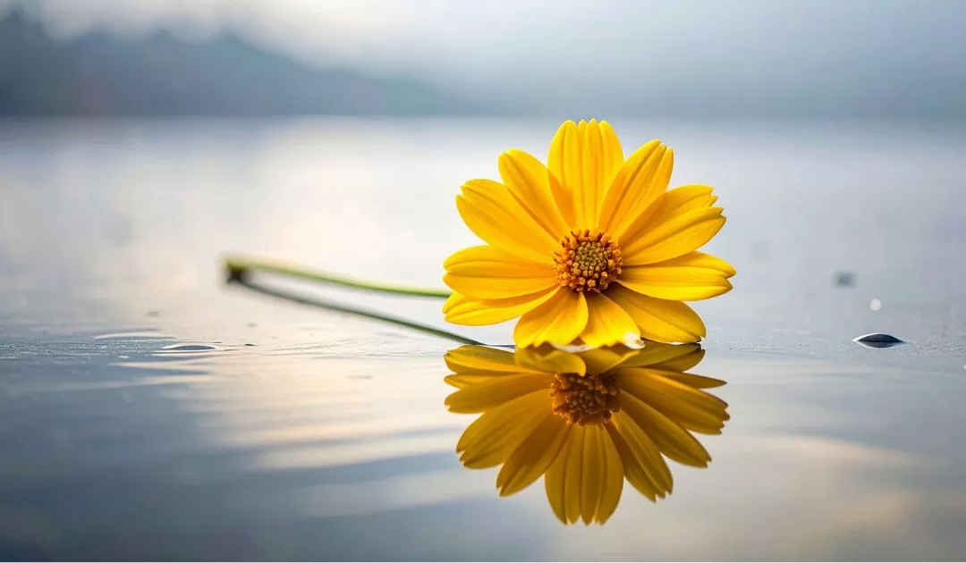 A New Form of Leadership: The Strength of Softness (Tao Te Ching Verse 10)