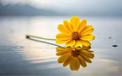 A New Form of Leadership: The Strength of Softness (Tao Te Ching Verse 10)