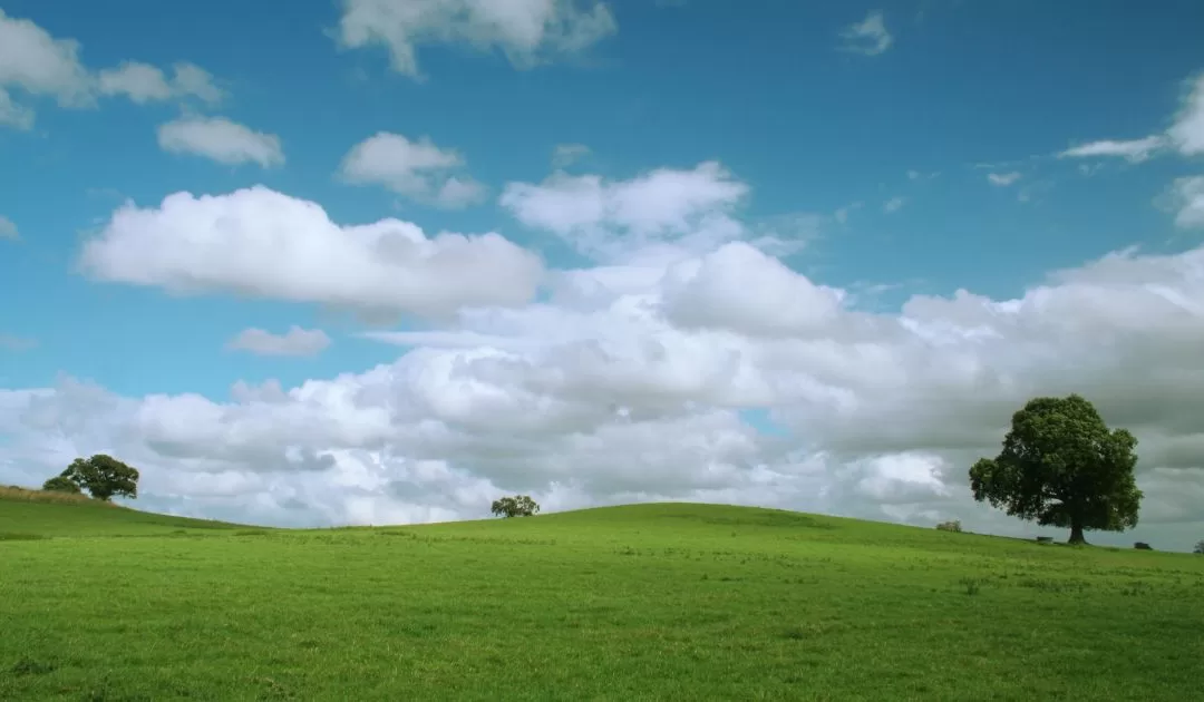 Less for More: Detach from Expectations Without Losing Your Edge (Tao Te Ching Verse 48)