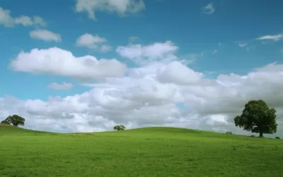 Less for More: Detach from Expectations Without Losing Your Edge (Tao Te Ching Verse 48)
