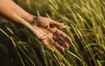 Transcending Fear by Practicing Patience (Tao Te Ching Verse 50)