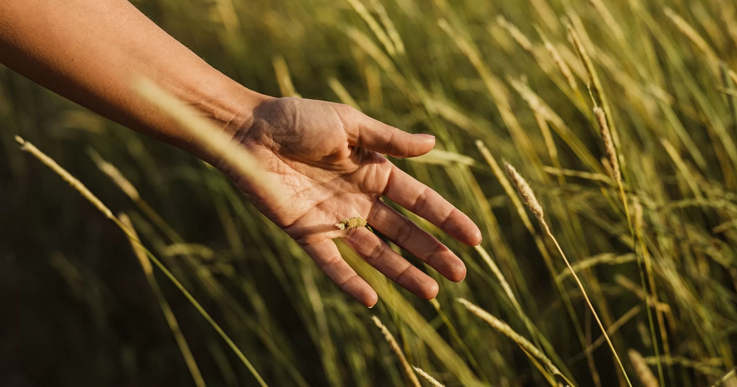 Tao Te Ching Verse 8 teaches us to navigate life’s obstacles without friction by embracing the effortless, nourishing quality of water.
