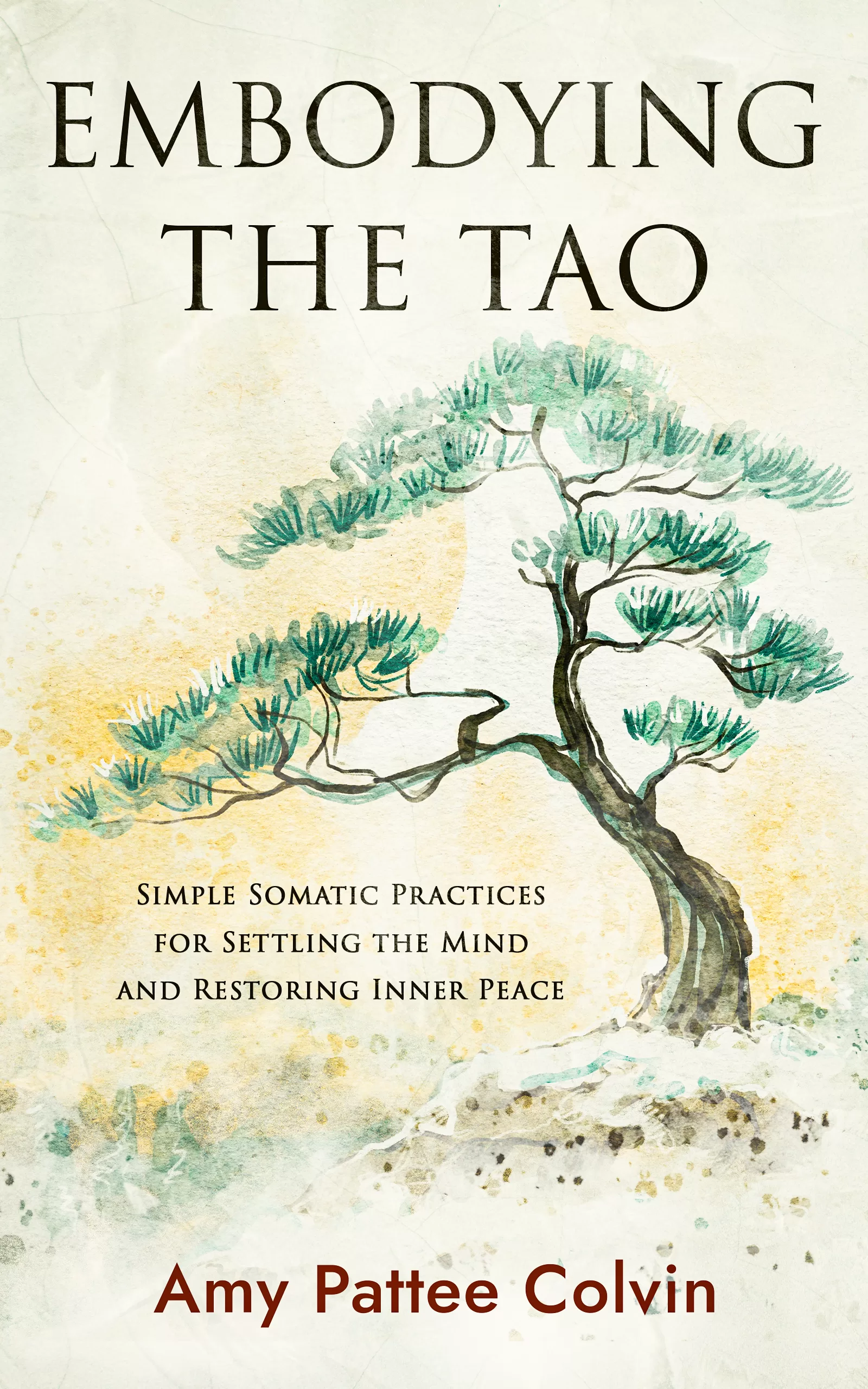 Embodying the Tao_v4 Cultivating Compassion Book by Amy Pattee Colvin
