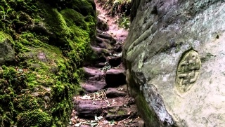 This path leads down into the Sacred Grove and Holy Well at Denino Den.
